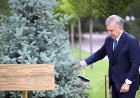 O‘zbekiston va Germaniya: Do‘stlik va ishonch timsoli – Ko‘ksaroydagi tarixiy nihol