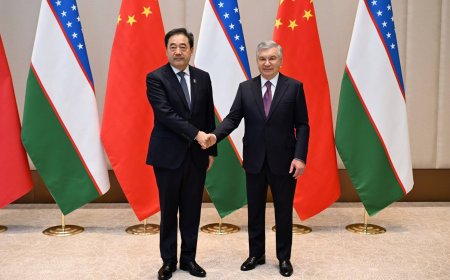 O‘zbekiston va Xitoy: TXIF doirasida 8 milliard dollarlik sarmoyalar va "yashil" energetika istiqbollari