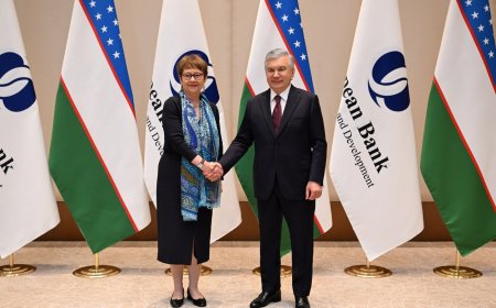 O‘zbekiston va YTTB: 7 milliard dollarlik sarmoya portfeli va strategik hamkorlikning yangi ufqlari